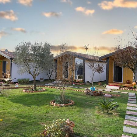 Hotel Villa Linda Shkodër Eksteriør billede